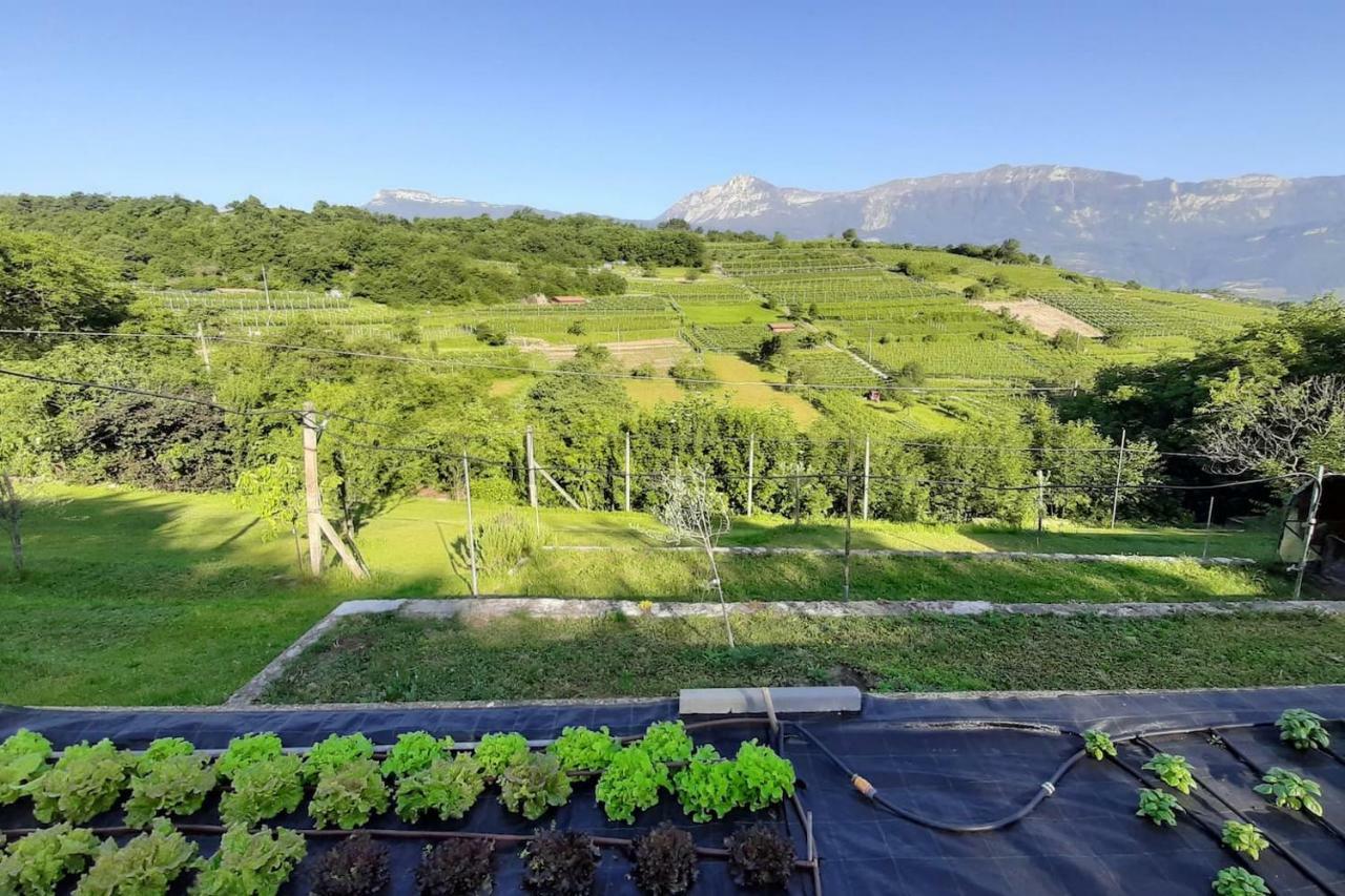 Appartamento Per Vacanze "Il Gelso" Rovereto  Kültér fotó